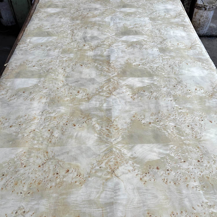 Veneer Burl Maple