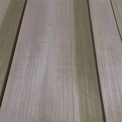 Veneer Poplar Kuning